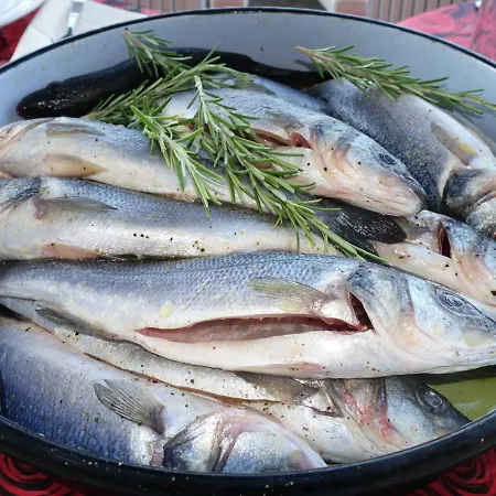 Klimatisiertes Barbara