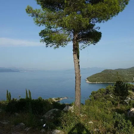 Klimatisiertes Barbara Apartman