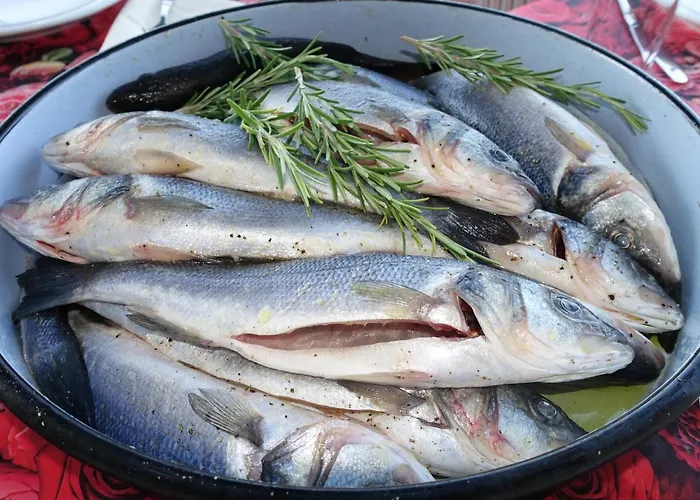 Klimatisiertes Barbara